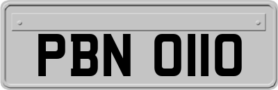 PBN0110