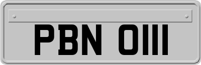 PBN0111