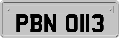 PBN0113