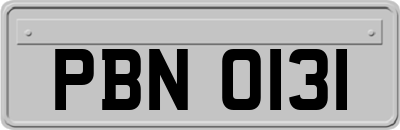 PBN0131