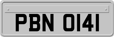 PBN0141