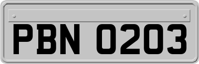 PBN0203