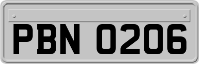 PBN0206