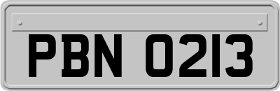 PBN0213