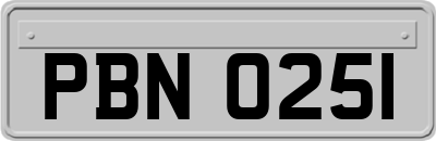 PBN0251