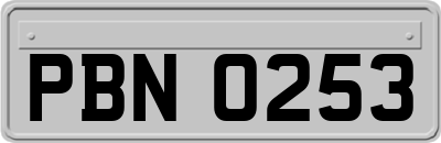 PBN0253