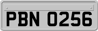 PBN0256