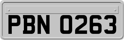 PBN0263