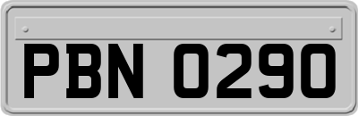 PBN0290