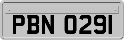 PBN0291