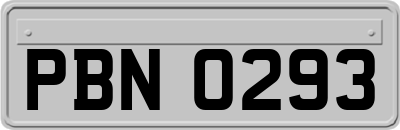 PBN0293