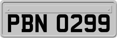 PBN0299