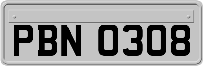 PBN0308