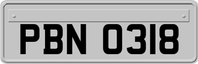 PBN0318