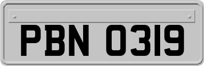 PBN0319