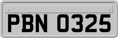 PBN0325