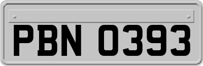 PBN0393