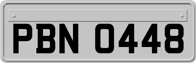 PBN0448