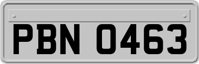 PBN0463