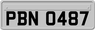 PBN0487