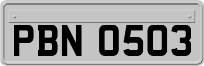 PBN0503