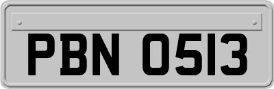 PBN0513