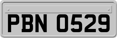 PBN0529