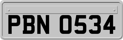 PBN0534