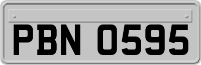 PBN0595