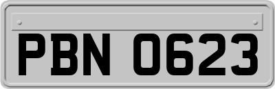 PBN0623