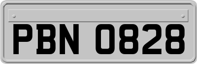 PBN0828