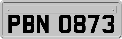 PBN0873