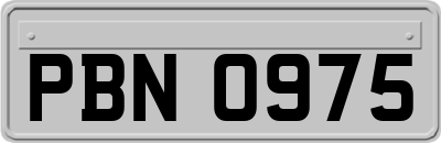 PBN0975