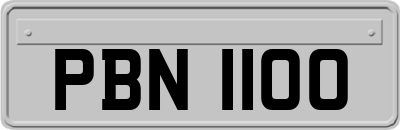 PBN1100