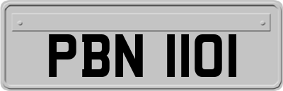 PBN1101