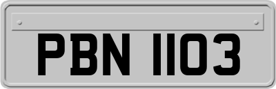 PBN1103