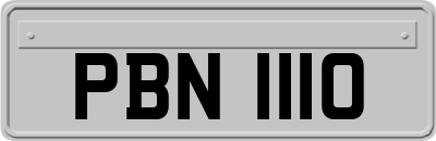 PBN1110