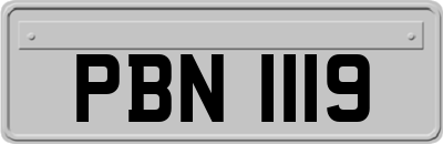 PBN1119