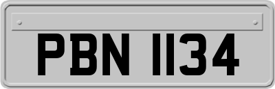 PBN1134