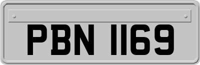 PBN1169