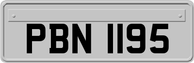 PBN1195