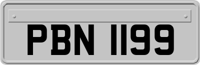 PBN1199