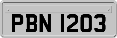 PBN1203