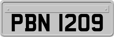 PBN1209