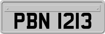 PBN1213