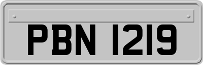 PBN1219