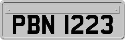 PBN1223