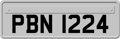 PBN1224