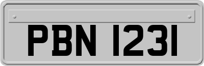 PBN1231