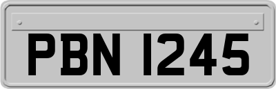 PBN1245